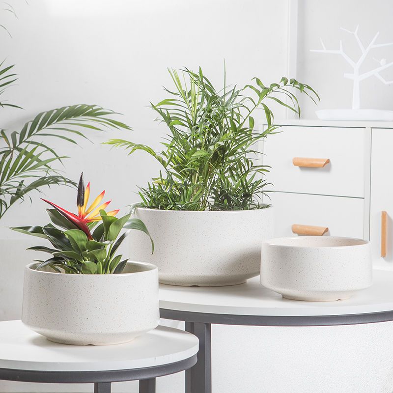 Flower pots large calibre large clay pots ceramic short models simple creative butterfly orchid succulent green plant pots